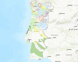 Mapa de Áreas Potenciais de Recursos Minerais em Portugal Continental